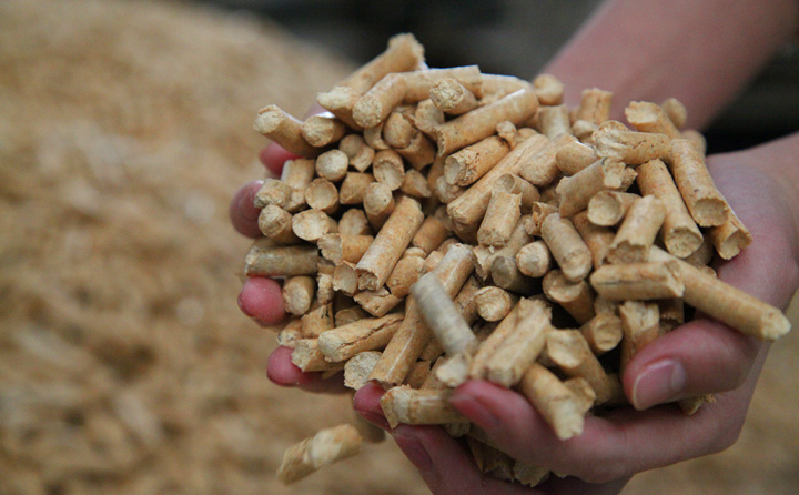 Biomass pellet fuel processed by wood pellet machine